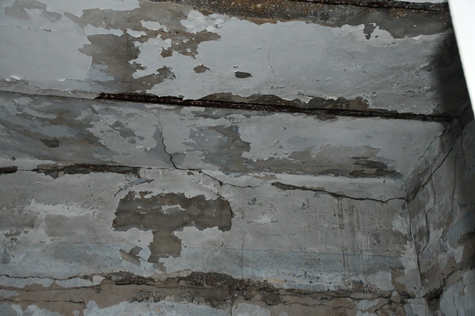 WhatsApp Image 2020-02-10 at 11.22.44 AM (1).jpeg.jpeg